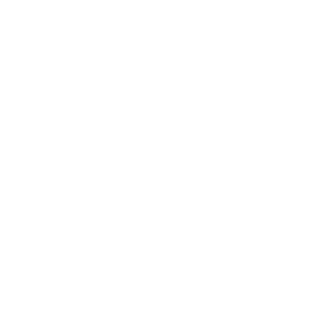 Zephyr Logo