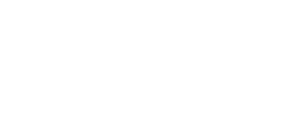 AKSELS LOGO